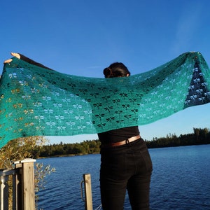 Könnte beinhalten: Ein türkisfarbener Häkel-Schal mit Libellenmuster. Der Schal ist über die Schultern einer Person gelegt, die auf einem Holzsteg steht.