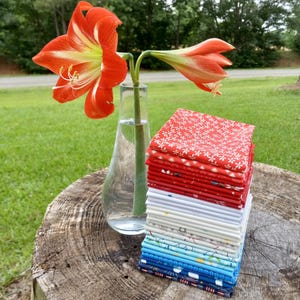 Red, White, Blue Fat Quarter Bundle: Various Designers for Riley Blake Designs, 30 Piece Bundle of Quilting Fabrics; Approx. 18&quot; x 21&quot; each