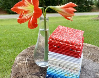 Paquete de 30 telas para acolchado en rojo, blanco y azul: Varios diseñadores para Riley Blake Designs; aprox. 45,7 x 53,3 cm cada una