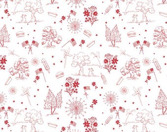 Firework Fields Independence Toile in White by Gracey Larson for Riley Blake Designs; Patriotic Quilting Fabric