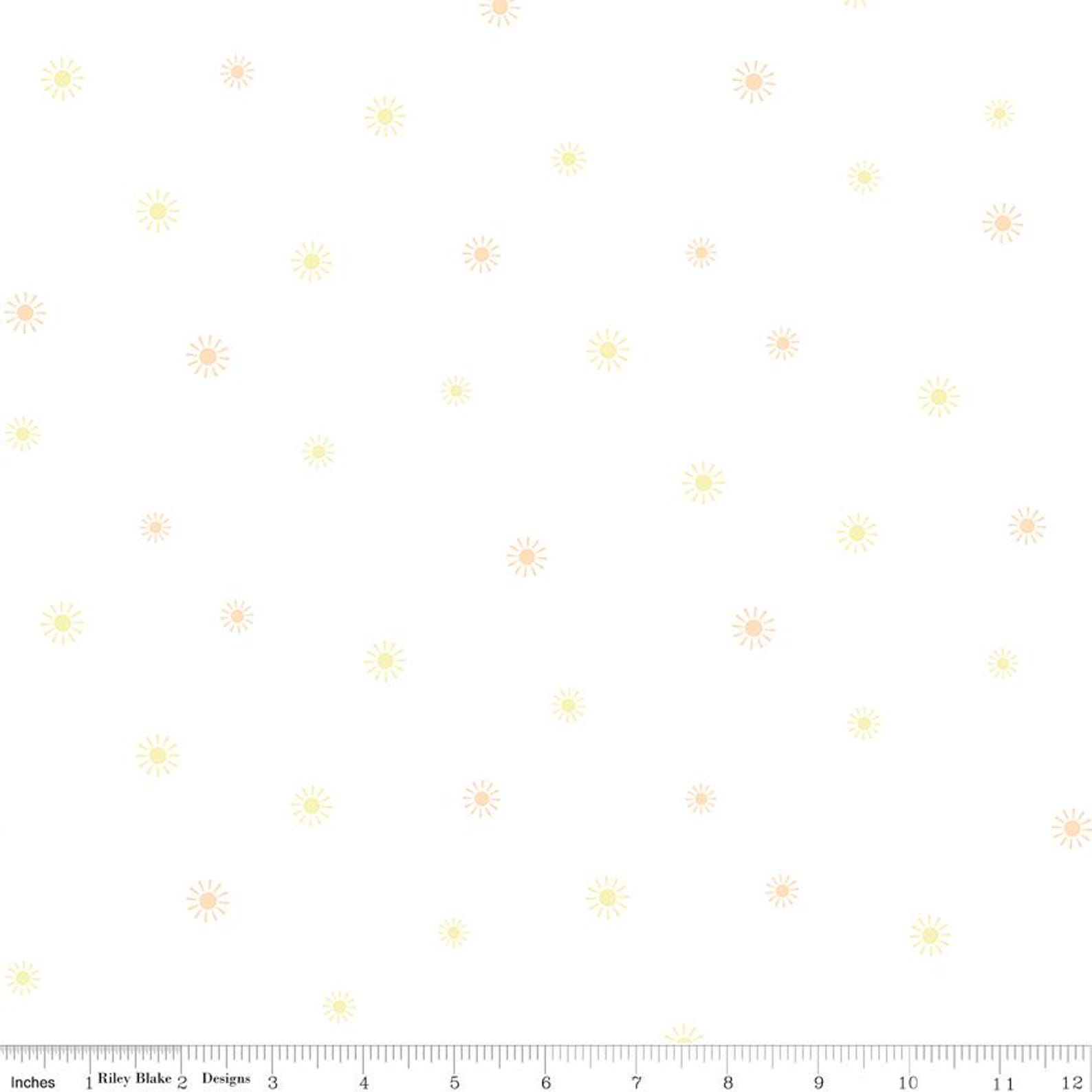 Sunny Days From Hush Hush 5 by Tara Reed for Riley Blake Designs ...