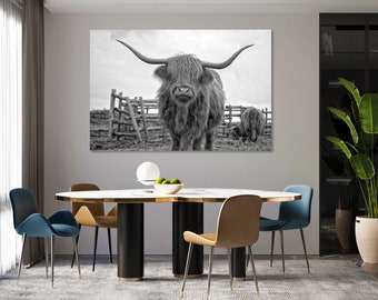 Könnte beinhalten: Schwarzweißfoto einer Highland-Kuh mit langem, zotteligem Fell und Hörnern, die auf einem Feld steht. Die Kuh schaut direkt in die Kamera. Im Hintergrund befindet sich ein Holzzaun.