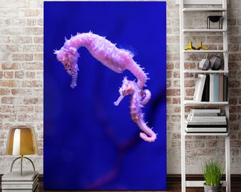 Seepferdchen Fotografie Druck – Unterwasserwelt, Natur Kunst