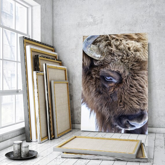 Bull living room wall decor Bull canvas wall art for home and Etsy