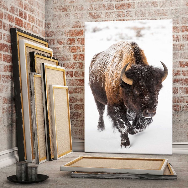 American Buffalo in Snow Original Canvas Art, Bison Canvas Print Wall Art, Buffalo Home and Office Art Print Wall Decor