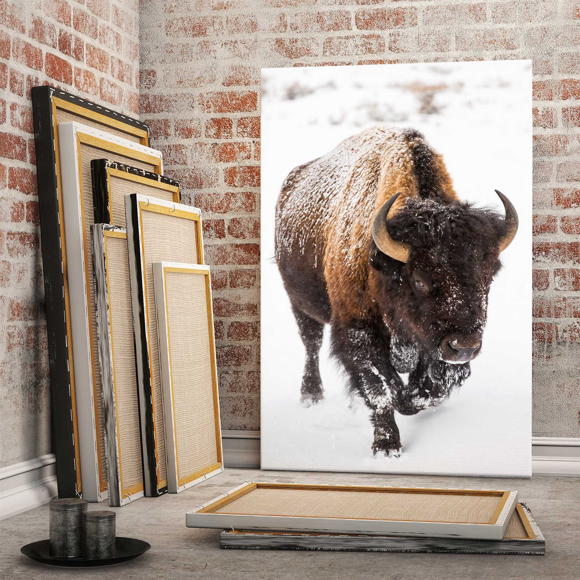 Buy American Buffalo in Snow Original Pictures Art, Buffalo Wall Art,  Buffalo Wall Decor, Buffalo Canvas Home Decor, Buffalo Office Print Decor  Online in India - Etsy