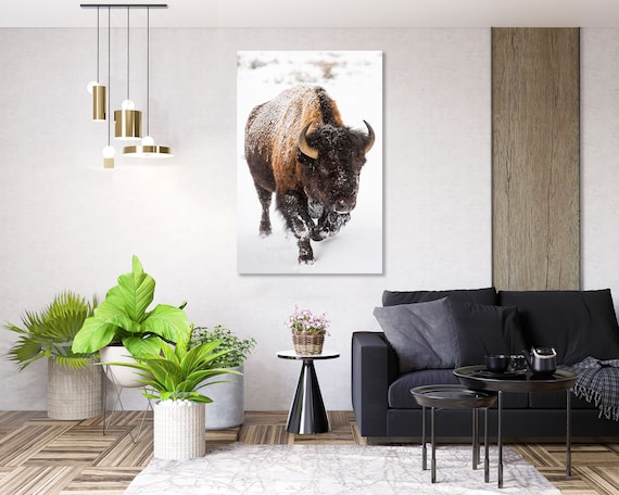 Western Buffalo Brown Animal Wall Art - 16"x20" Framed Giclee Textured Canvas By Stupell Industries - View #4