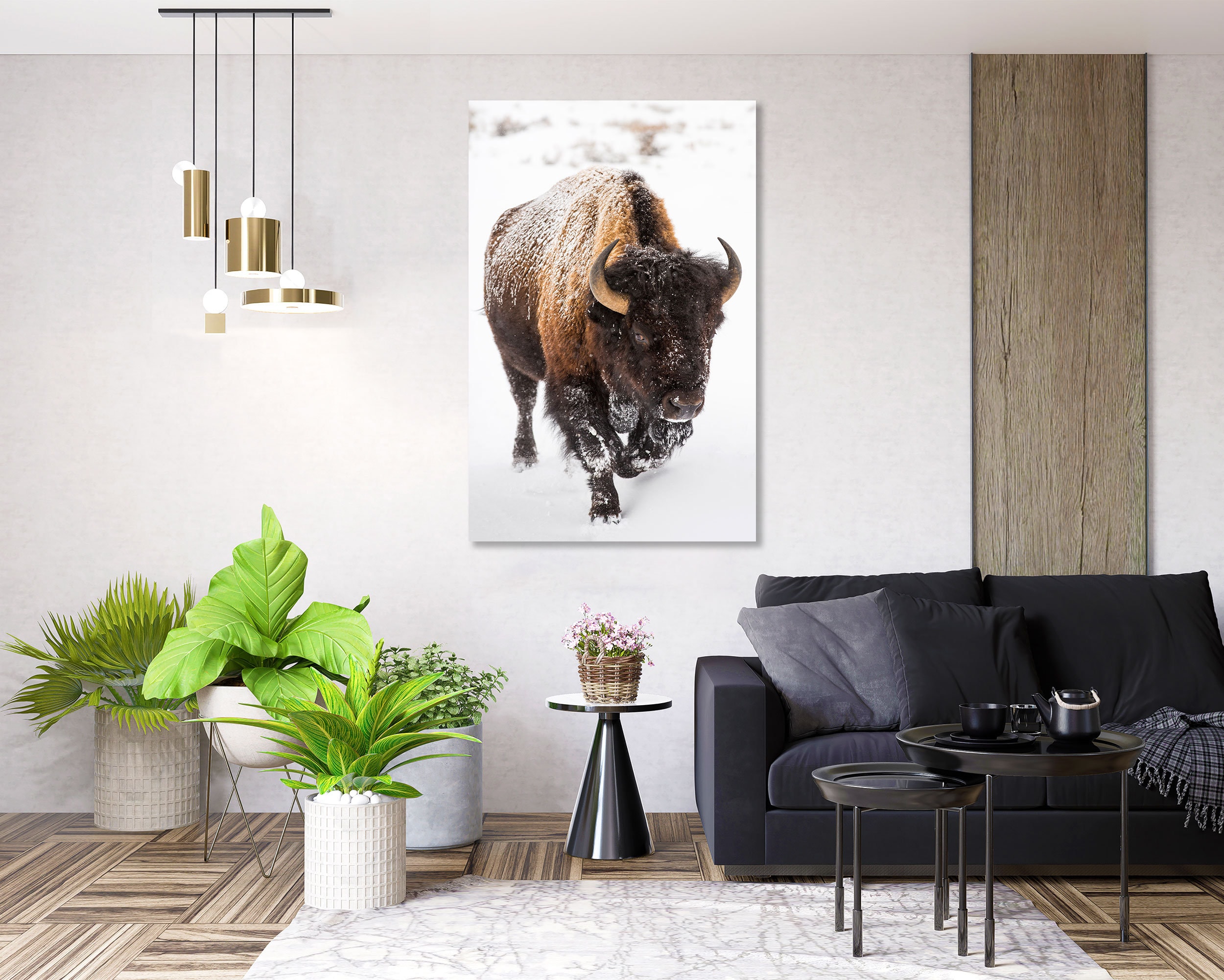 American buffalo For sale as Framed Prints, Photos, Wall Art and Photo Gifts