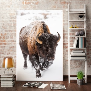 American Buffalo Wildlife Photography Print – Winter Bison Wall Art | Nature Landscape Poster, Yellowstone National Park Artwork