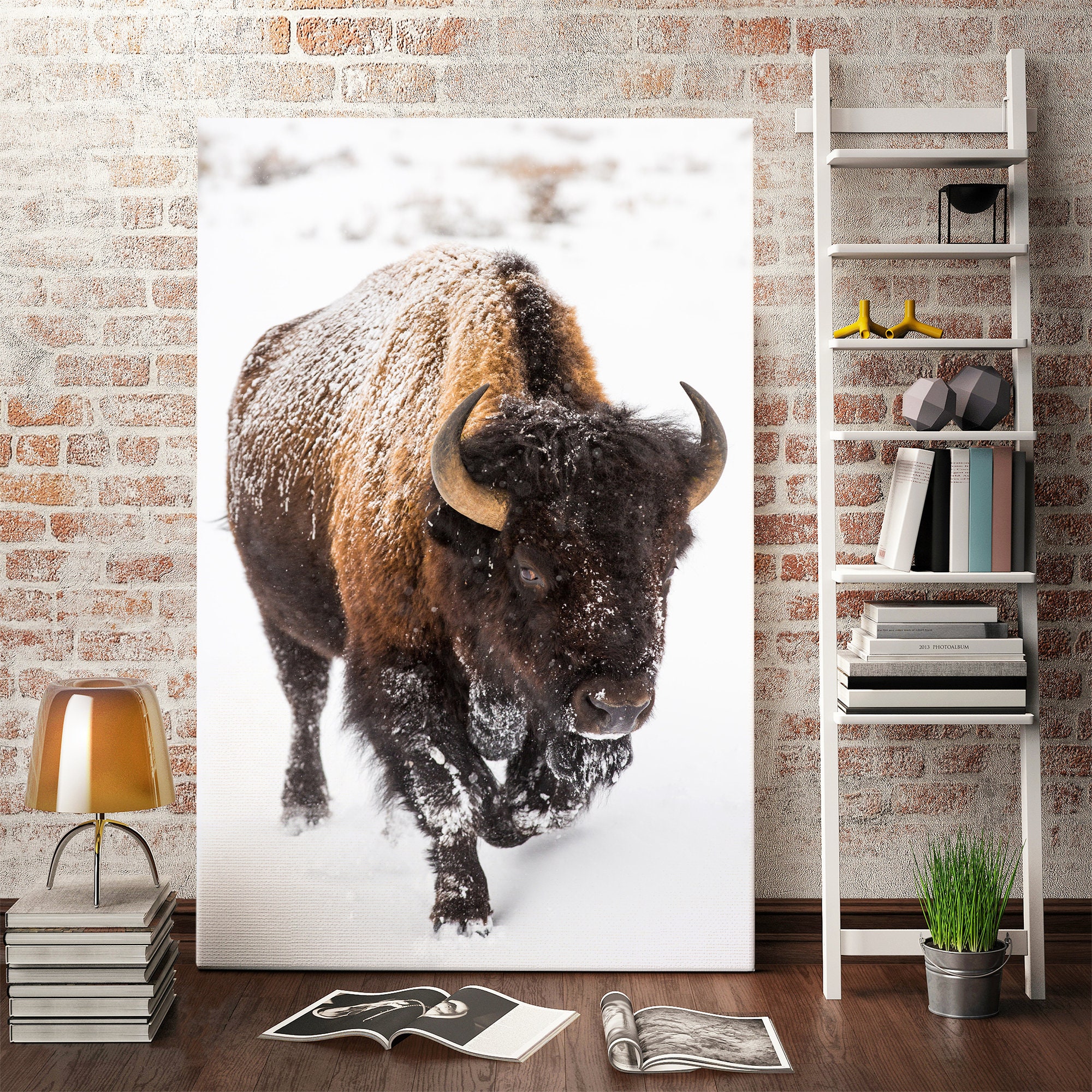 American Buffalo Wildlife Photography Print – Winter Bison
