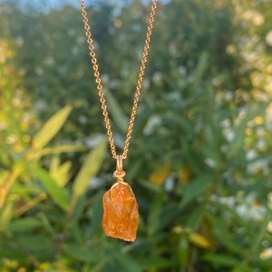 May include: A gold-colored chain necklace with a raw, orange-brown gemstone pendant. The pendant is irregularly shaped and wire-wrapped. The background is a blurred view of green foliage.