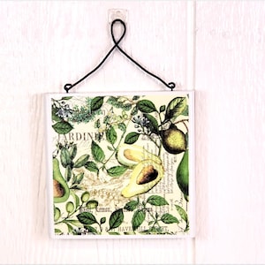 Handmade Avocado Botanical Oil Cruet | Up-cycled Bottle Kitchen Decor Sign #1