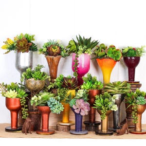 Quecksilberglas für immer Sukkulenten Up-cycled Flasche Terrarium