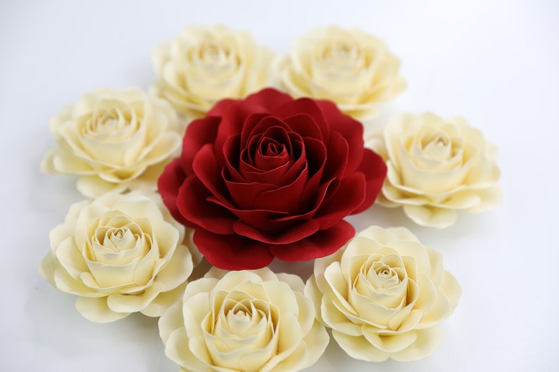 Puede incluir: Una rosa roja rodeada de siete rosas de color crema. Las rosas est&aacute;n dispuestas en c&iacute;rculo sobre un fondo blanco.