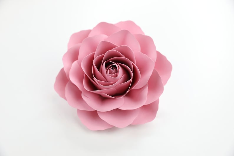 Puede incluir: Una rosa de papel grande de color rosa con m&uacute;ltiples capas de p&eacute;talos.
