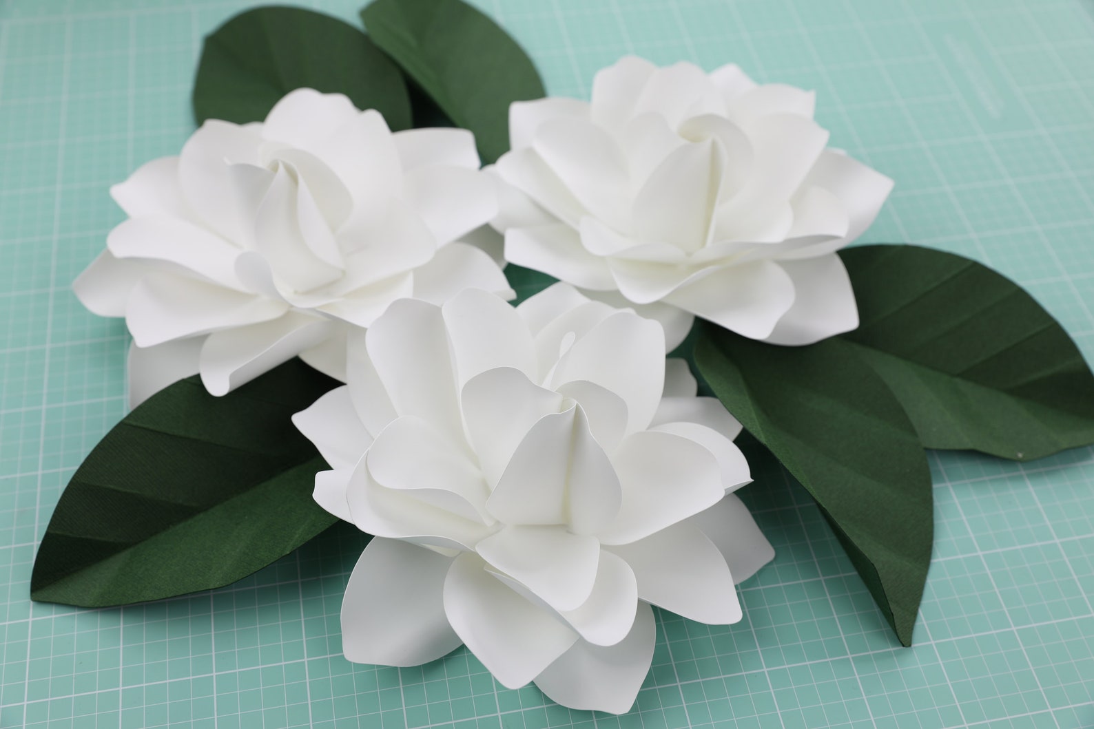Mini Gardenia Template Paper Flower Small/medium/large PDF PNG Etsy UK