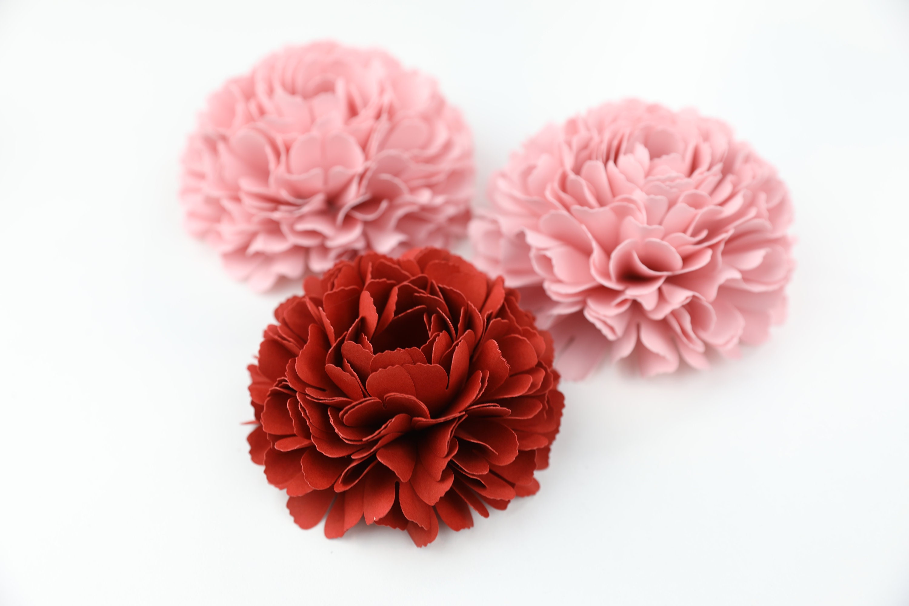 Mini Carnation Template Paper Flower Small/medium/large PNG Etsy UK