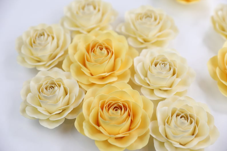 Puede incluir: Una colecci&oacute;n de rosas de papel crema y amarillas. Las rosas est&aacute;n dispuestas en un c&iacute;rculo sobre un fondo blanco.