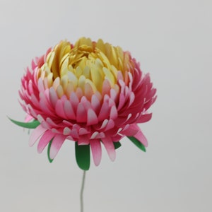 Mini Chrysanthème Modèle Papier Fleur Petit / Moyen / Grand PNG SVG DXF Studio3 Fête de mariage Décoration d’anniversaire