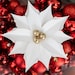 Mini Paper Poinsettia Template PDF PNG SVG Cricut &amp; Silhouette Compatible Handmade Christmas ...