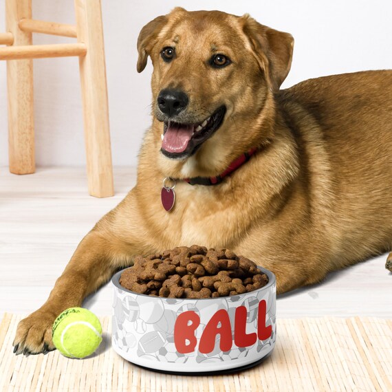 adult royal canin dry dog food Royal Canin Breed Health Nutrition German Shepherd Adult Dry Dog Food   Concord Pet Foods & Supplies| Delaware, Pennsylvania, New Jersey, Maryland