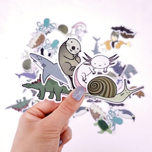 Mystery Sticker Bundle| Vinyl Stickers