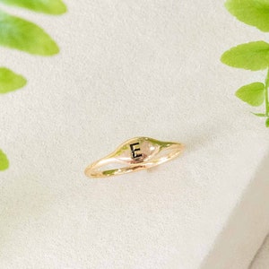 May include: A gold ring with a raised oval top featuring the letter "E" in black lettering. The ring is on a white surface with green foliage.