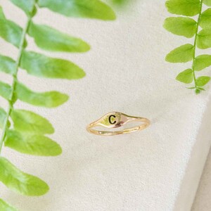 May include: A gold ring with a raised letter "C" on the top. The ring is on a white surface with green fern leaves.