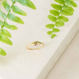 Initial Ring | D