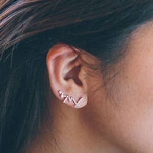 3 colors Lizard Ear Pin Earrings