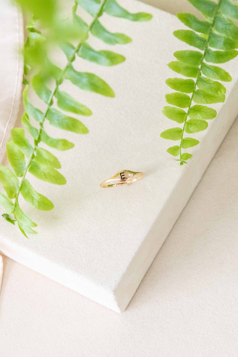 May include: A gold ring with a raised oval top featuring the letter "E" in black lettering. The ring is on a white surface with green foliage.