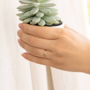May include: A gold ring with a single initial, "P", set in a pointed oval shape. The ring is worn on a finger holding a small succulent plant.