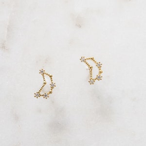 Capricorn Zodiac Earrings