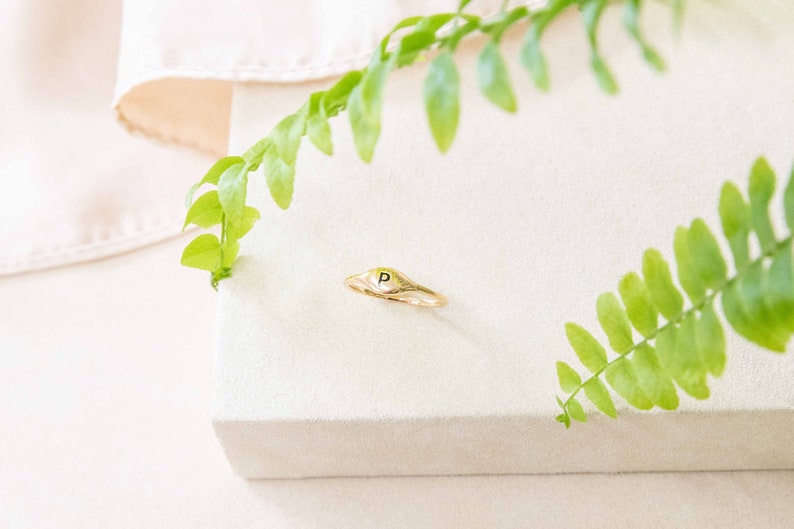 May include: A gold signet ring with a raised oval top featuring the letter "P" in black.