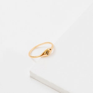 May include: A gold signet ring with the letter "E" engraved on the top.