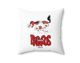 Vintage Design Pillows