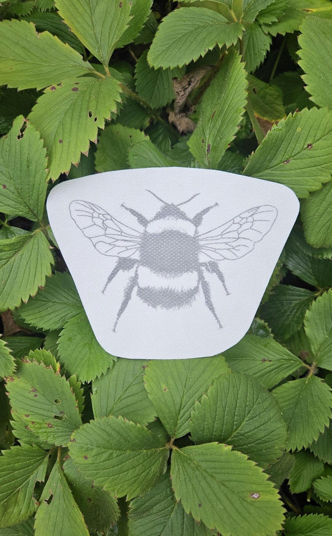 Stick and Stitch Bumblebee Insect DIY Embroidery Water Soluble Spring ...