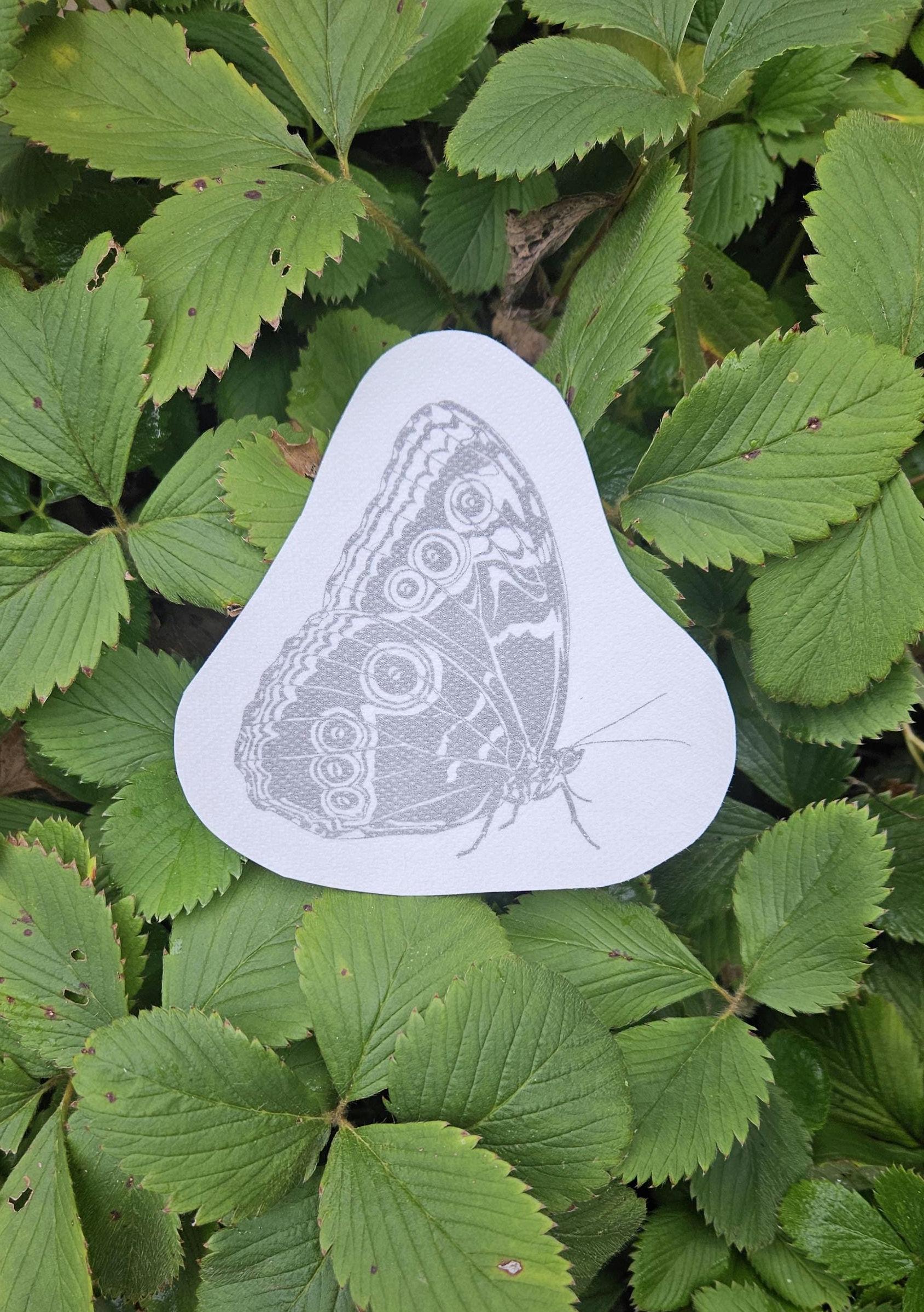 Stick and Stitch Butterfly Insect DIY Embroidery Water Soluble Spring ...