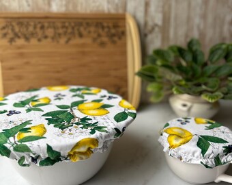 Lemon Blueberry Bowl Cover: Reusable Cloth Jar Lid for Sourdough and  food storage
