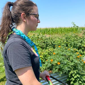 May include: A bright blue cooling neck wrap featuring a repeating pattern of green leaves and small red berries. The fabric accessory is tied around the neck, displaying a vibrant botanical print against a solid light blue background.