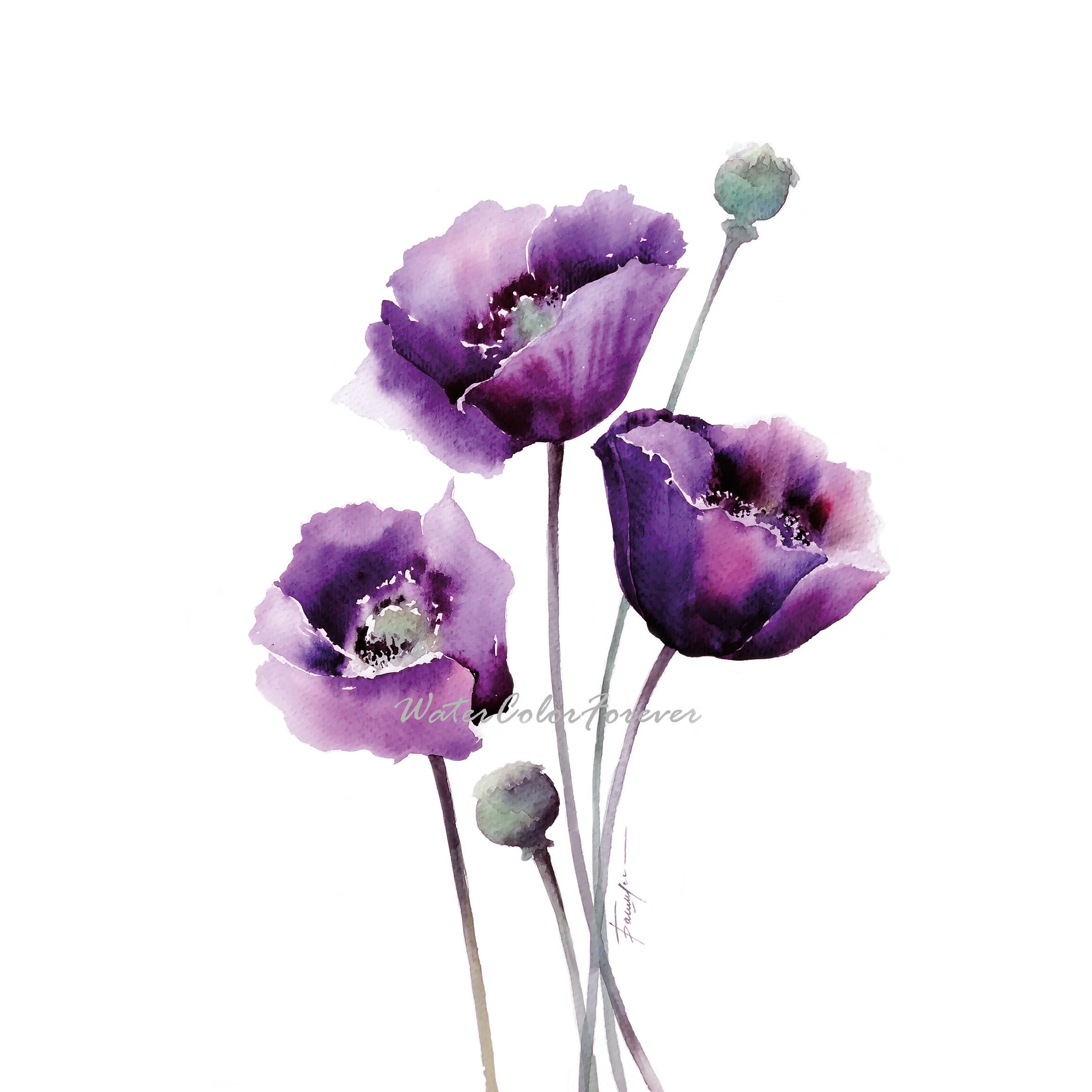 Poppy Original painting Purple poppy wall art Poppies Etsy