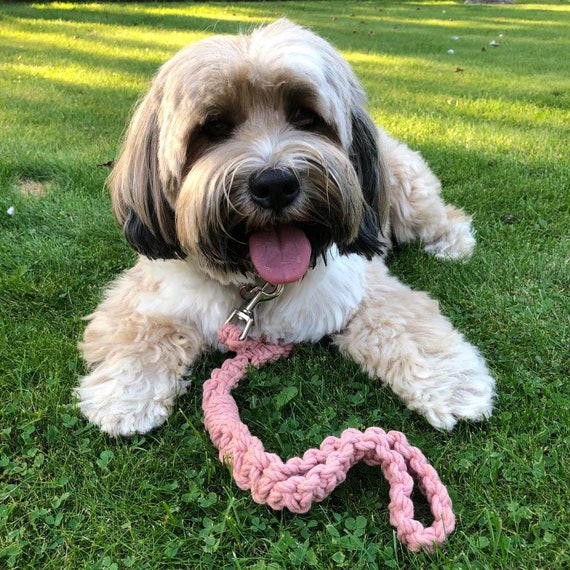 Macrame Dog Lead • Recycled Cotton Rope • Leash • 3 Lengths