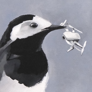 Puede incluir: Un p&aacute;jaro blanco y negro con la cabeza blanca y el cuerpo negro sostiene un peque&ntilde;o dron blanco en su pico. El p&aacute;jaro mira hacia la derecha de la imagen.