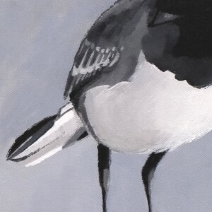 Puede incluir: Una pintura en blanco y negro de las plumas de la cola y las patas de un p&aacute;jaro. El p&aacute;jaro est&aacute; de pie sobre un fondo gris claro.