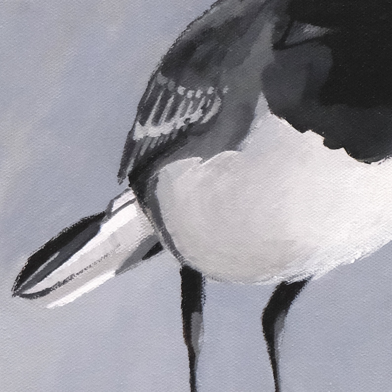 Puede incluir: Una pintura en blanco y negro de las plumas de la cola y las patas de un p&aacute;jaro. El p&aacute;jaro est&aacute; de pie sobre un fondo gris claro.