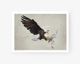 Air Fighter