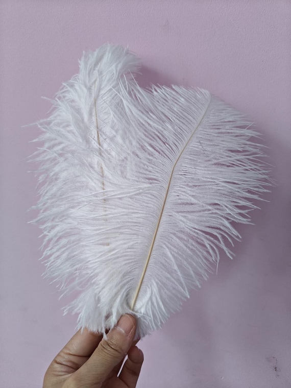 white ostrich feather hair clip grip fascinator fancy dress hen party dance costume accessory
