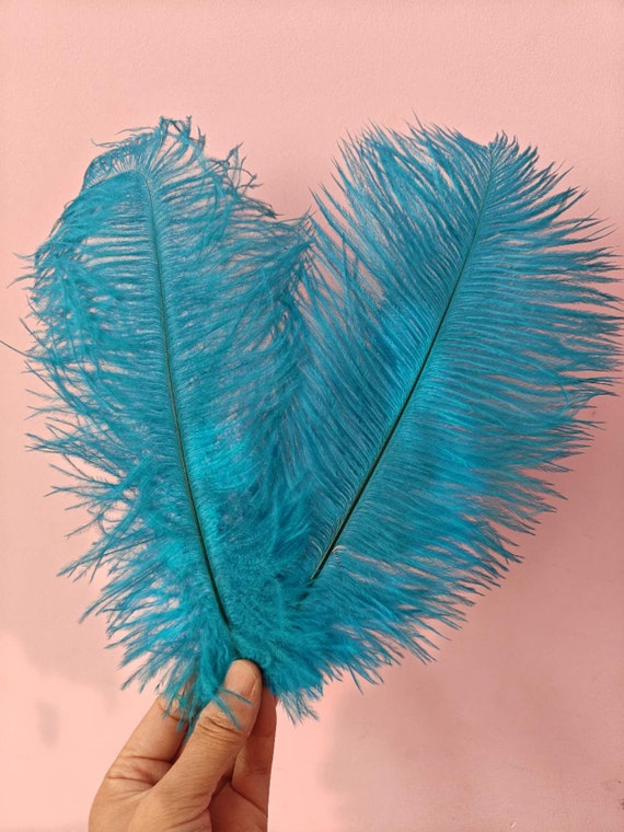turquoise blue ostrich feather hair clip grip fascinator fancy dress hen party dance costume accessory
