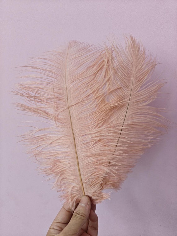 light peach nude ostrich feather hair clip grip fascinator fancy dress hen party dance costume accessory