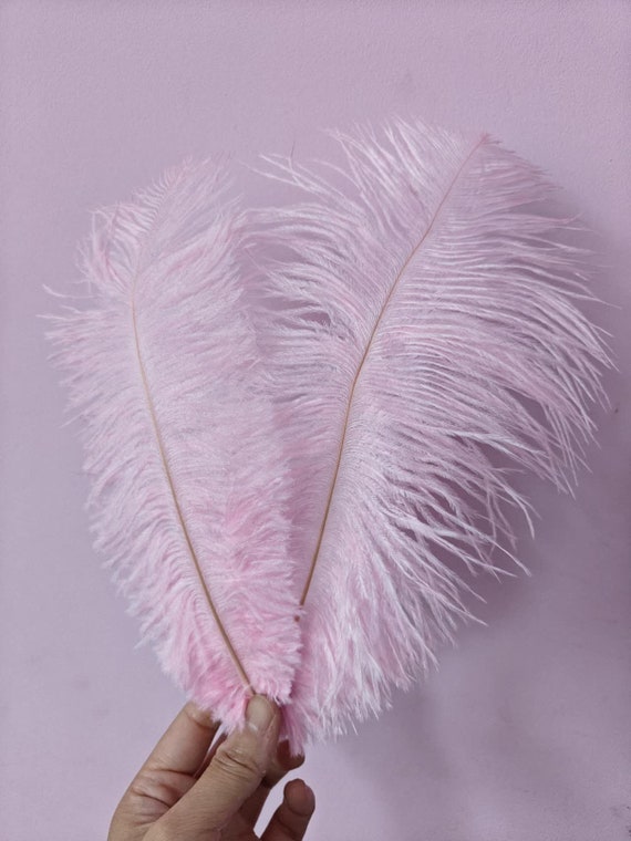 Feather Hair Clip White Costume Accessory Feather Hair Clip White Costume Accessory